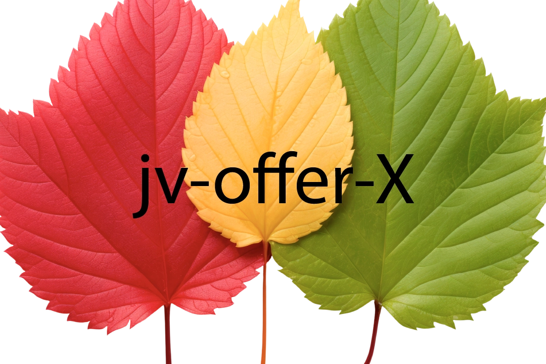 jv-offer-4